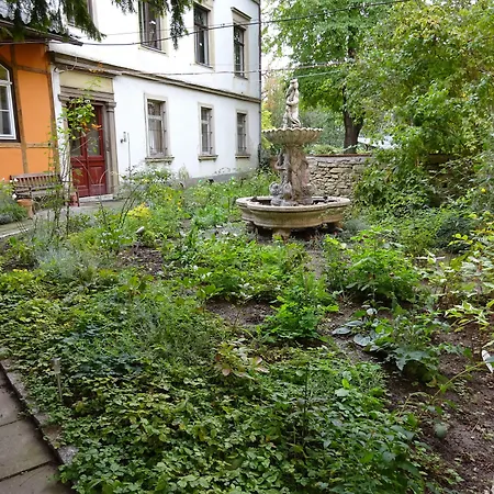 Hummel Hostel - Historische Stadtvilla mit Garten-3